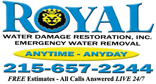 Royal Water Damage Restoration