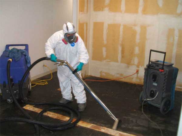 Cabinet and Wall Drying